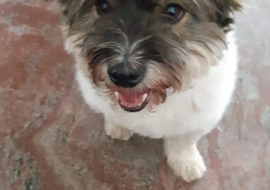 70351808_345434176383015_3493313247929434112_n