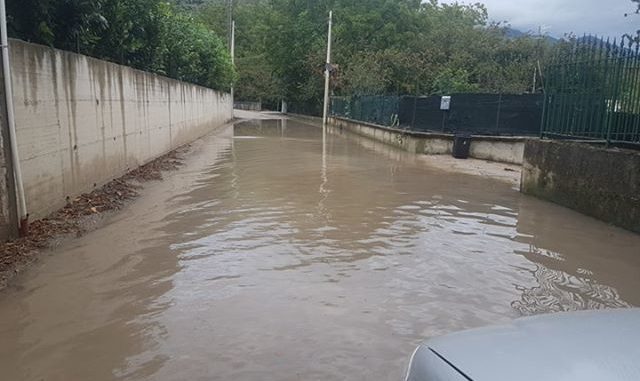 71877850_856915041375896_7628071842812526592_n