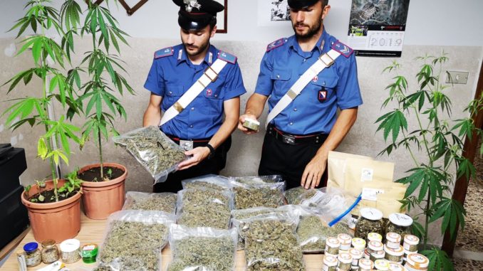 coltivatore marijuana tufino 11.09.2019 (1)