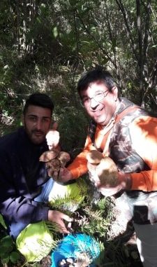 72958169_433395977280787_8977996535144906752_n