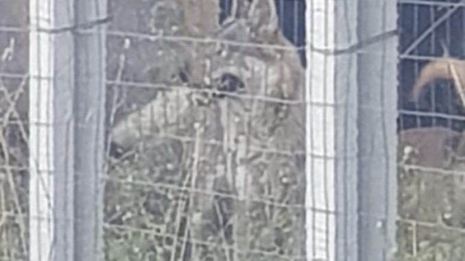 WhatsApp Image 2019-10-17 at 17.21.49(1)