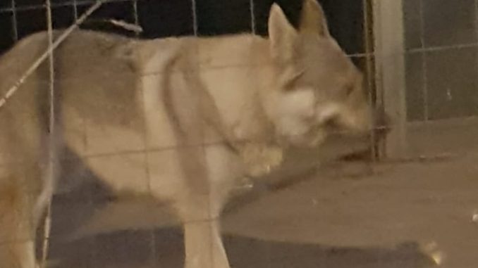 WhatsApp Image 2019-10-17 at 18.53.12