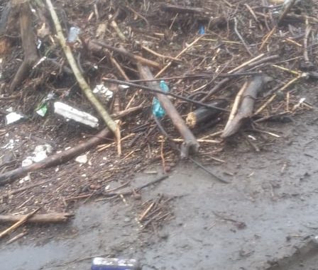 74414588_439638680088221_7935741434219462656_n