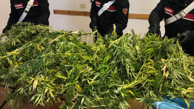 Torre del Greco sacchi 15.11.2019 (1)