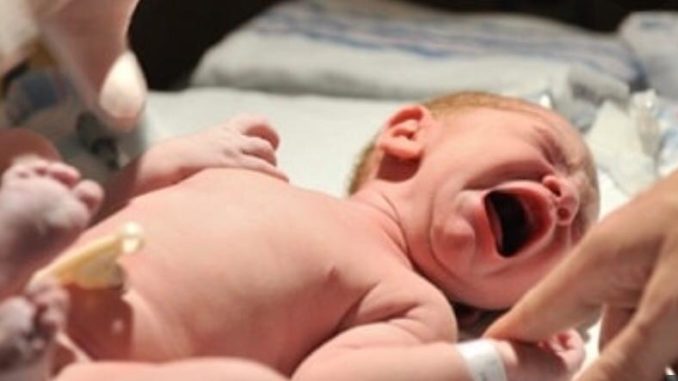 WhatsApp Image 2019-11-04 at 22.27.24