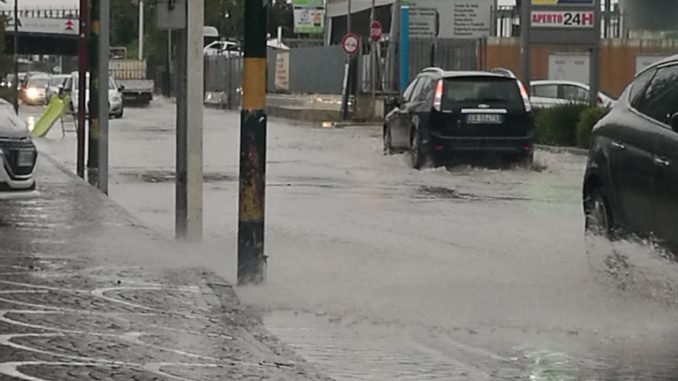 WhatsApp Image 2019-11-24 at 12.33.53(1)