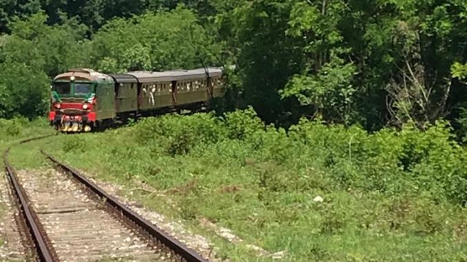 IMG-20181130-WA0029 (1)