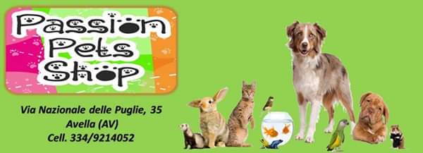 WhatsApp Image 2019-12-06 at 19.33.30