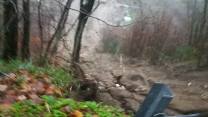 WhatsApp Image 2019-12-21 at 16.45.06