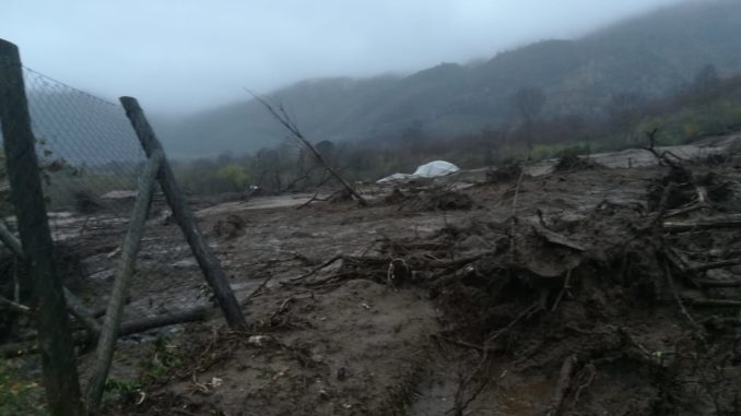 WhatsApp Image 2019-12-21 at 16.45.07(1)