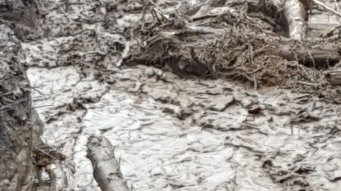 WhatsApp Image 2019-12-21 at 18.03.36(1)