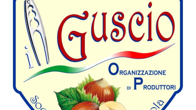 il guscio