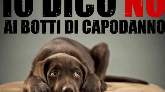 no-botti-capodanno