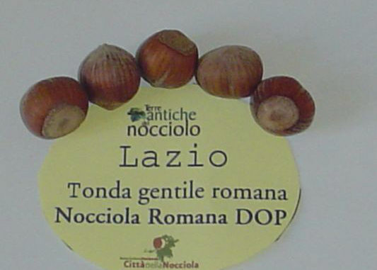 Galleria_Nocciola-Romana_04