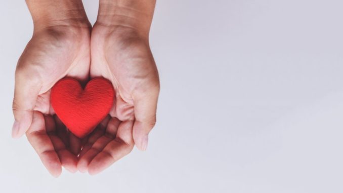 heart on hand for philanthropy / woman holding red heart in hand