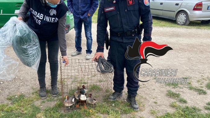 Antibracconaggio 11.05.2020 (1)