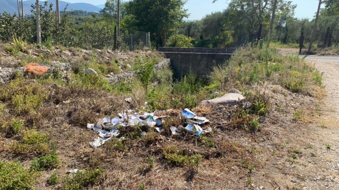 WhatsApp Image 2020-07-11 at 17.09.07 (2)