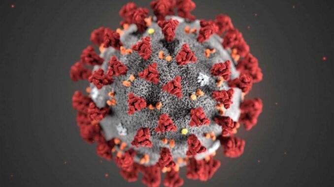 118827233_2886983648293838_7986580605179973417_o