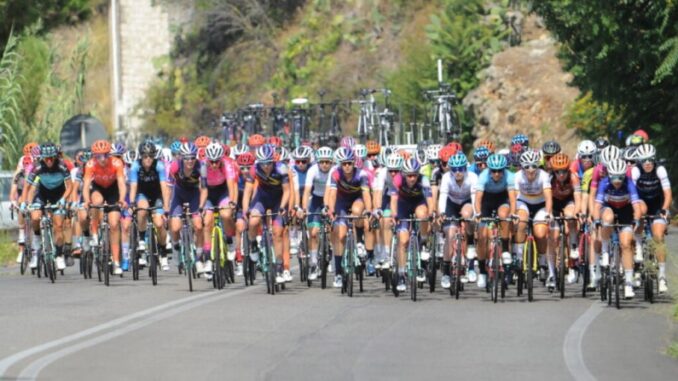 BC18E2D7-8D33-412F-ACE9-8071273B9C80