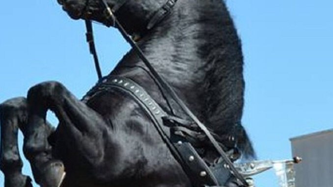 E13EDF5C-CF5A-4441-A801-BF726934853B