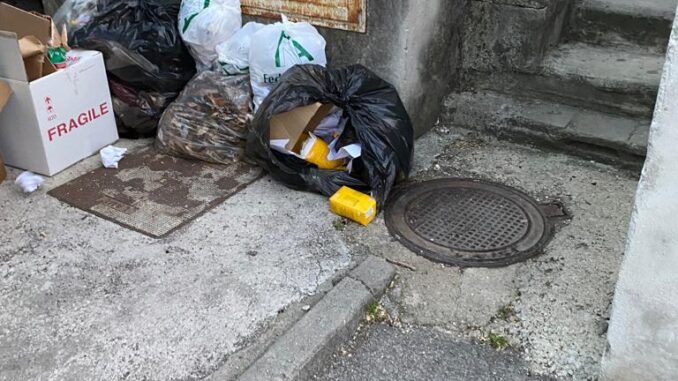 WhatsApp Image 2020-09-04 at 14.56.28 (7)