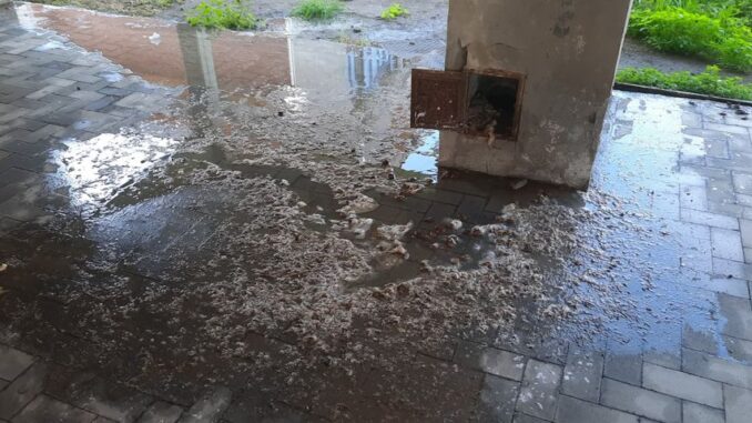 124862986_361413191588204_315670010724991053_n