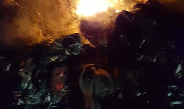 9d6d0be2-34f7-41f7-8daf-2ba470a8cffb