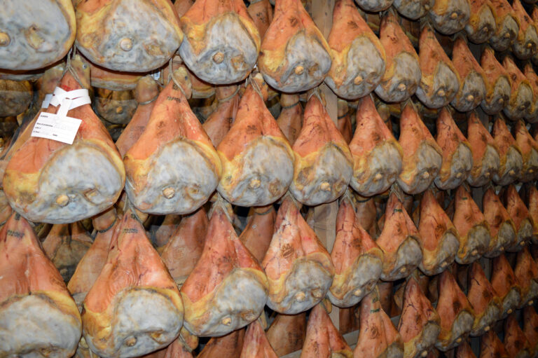 VeroFiliera Sostenibile, il "Patto di Langhirano" accoglie