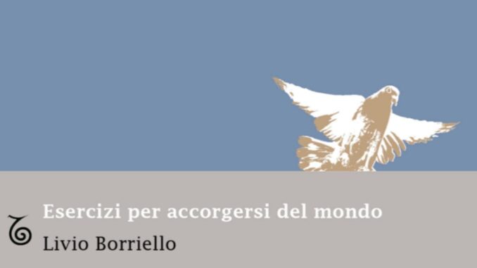 Screenshot_20201214_205856