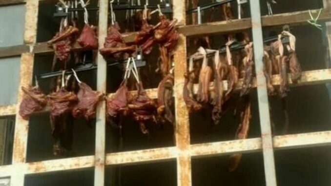 deb739ee-dc1a-4b90-8b8d-3ff88bb528c4