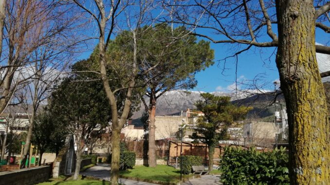 0304443b-6c9b-4b56-af31-edce16dd0d48