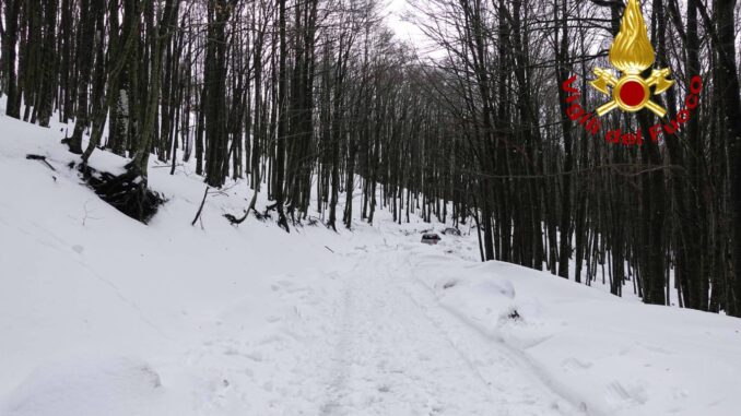 03eed8a8-733e-4e5e-a766-3152b2ba2f61