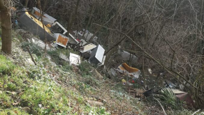 8113D2F5-C653-498A-9499-8589AC5A2DA4