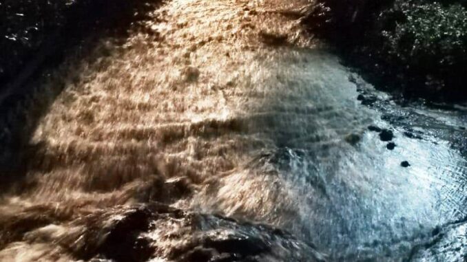 FB08D9B7-3E78-48E3-84E9-ED9798CE021A