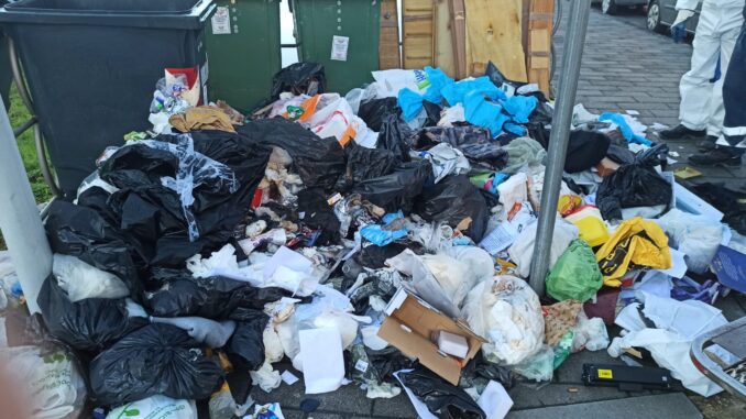 01690256-7AB7-4395-9D57-DA09DDE36473