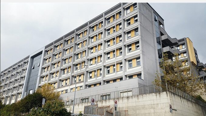 Screenshot_20201129_122559