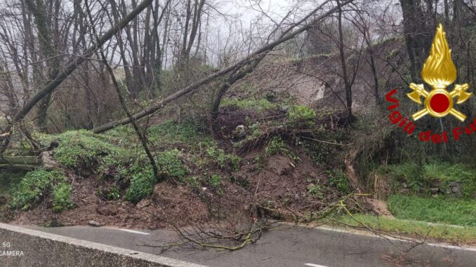 c2695d2e-011c-49cc-9162-7e32c6d2e186