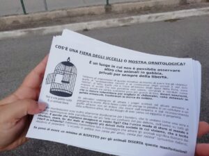 Animalisti in protesta a Salerno davanti alla fiera ornitologica