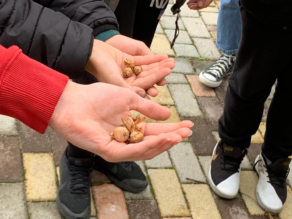 Avella Baiano Saviano Sperone. Progetto formativo d’Interscuola per la cultura della vita. Piazzale del “Giovanni XXIII”, ragazze e ragazzi piantano i bulbi del crocus. Avella Baiano Saviano Sperone. Progetto formativo d’Interscuola per la cultura della vita. Piazzale del “Giovanni XXIII”, ragazze e ragazzi piantano i bulbi del crocus.