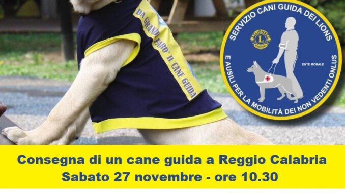 WhatsApp Image 2021-11-25 at 02.03.48