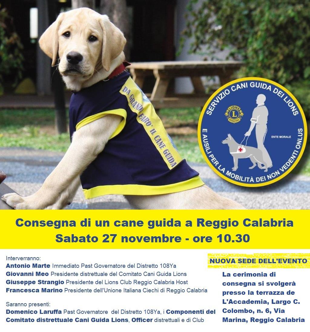 Cani guida Lions club: Nuova donazione. Cerimonia a Reggio Calabria Cani guida Lions club: Nuova donazione. Cerimonia a Reggio Calabria