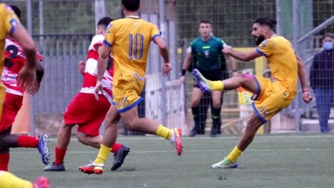 nola-molfetta-2