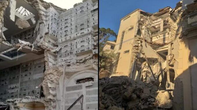 WhatsApp Image 2022-01-10 at 22.19.44