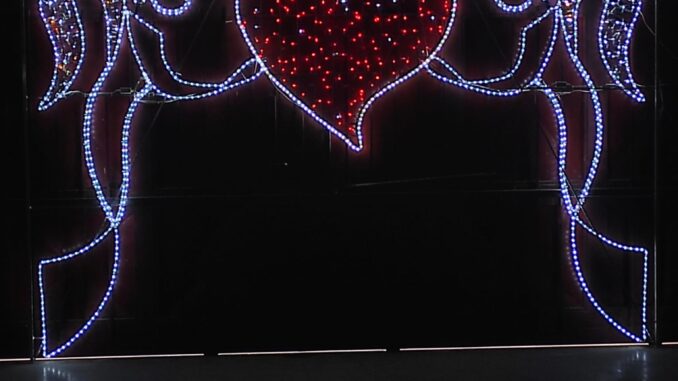 WhatsApp Image 2022-02-08 at 21.11.42