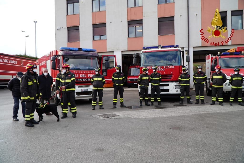AVELLINO. Va in pensione Sasha, il cane Pompiere del nucleo cinofilo di Avellino. AVELLINO. Va in pensione Sasha, il cane Pompiere del nucleo cinofilo di Avellino.