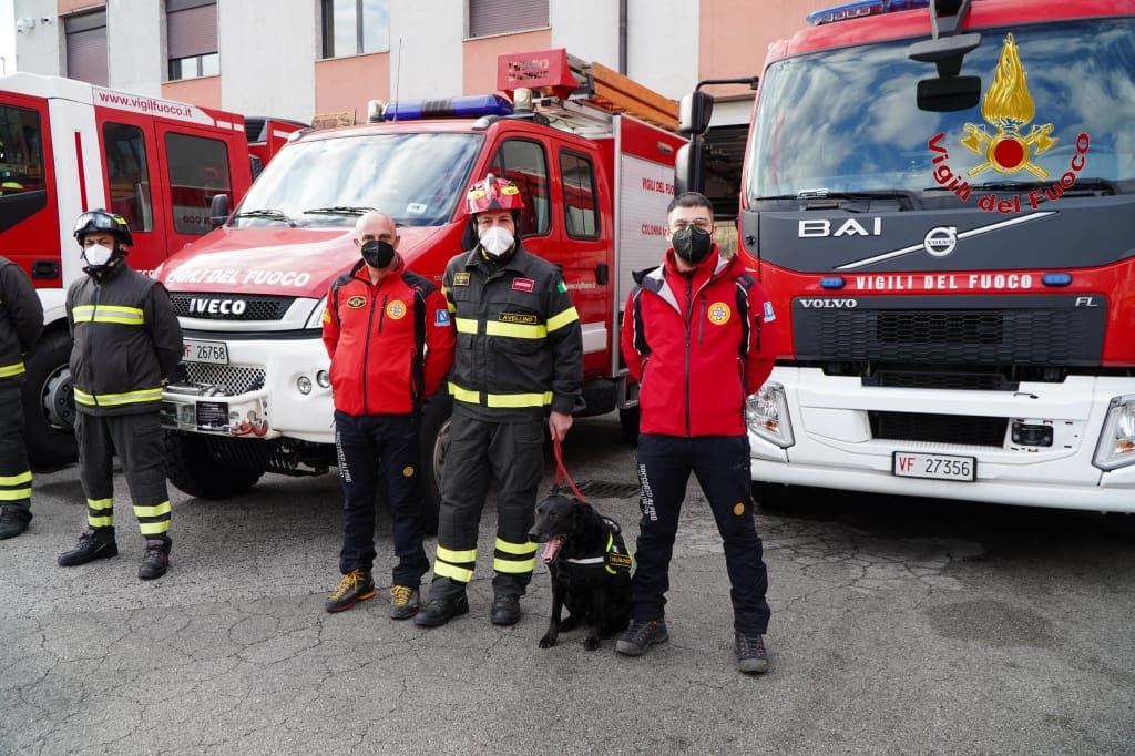 AVELLINO. Va in pensione Sasha, il cane Pompiere del nucleo cinofilo di Avellino. AVELLINO. Va in pensione Sasha, il cane Pompiere del nucleo cinofilo di Avellino.