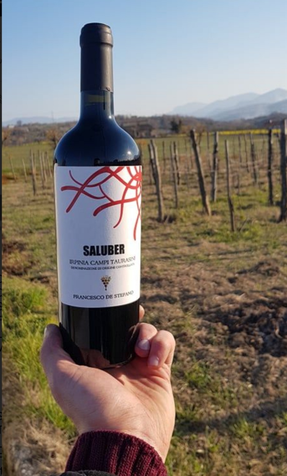 Ancora successo per la Cantina Francesco De Stefano: il Taurasi Doc 2017 e lirpinia Campi Taurasini Doc 2018 tra i migliori vini italiani di Luca Maroni.