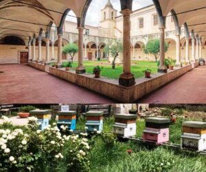 AVELLA. “Il Meraviglioso Mondo delle Api“, il progetto per la salvaguardia delle api
