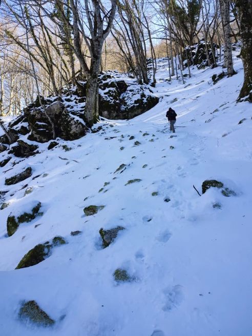 È iniziato il ripristino della via Francigena in Campania: 10 tappe fra borghi antichi, parchi regionali e natura, da Caserta a Benevento. È iniziato il ripristino della via Francigena in Campania: 10 tappe fra borghi antichi, parchi regionali e natura, da Caserta a Benevento.