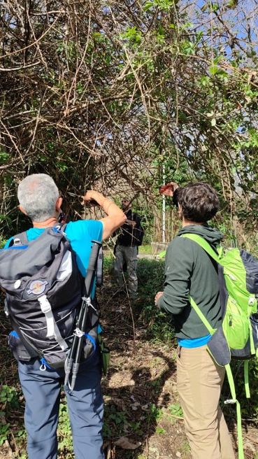 È iniziato il ripristino della via Francigena in Campania: 10 tappe fra borghi antichi, parchi regionali e natura, da Caserta a Benevento. È iniziato il ripristino della via Francigena in Campania: 10 tappe fra borghi antichi, parchi regionali e natura, da Caserta a Benevento.